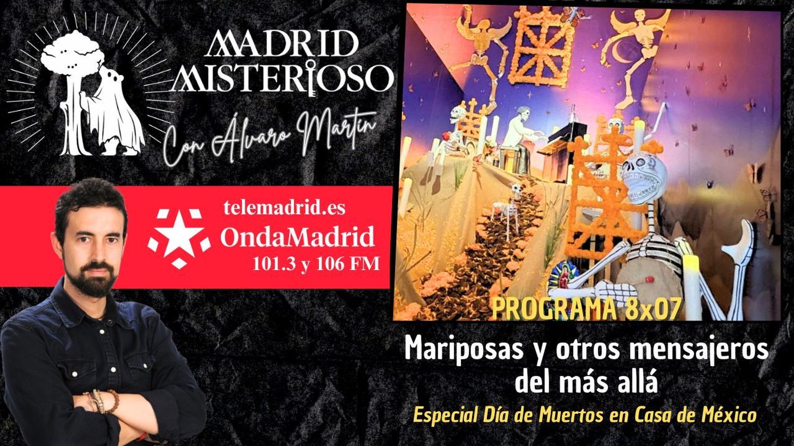 Mariposas y otros mensajeros del más allá 17.10.2026