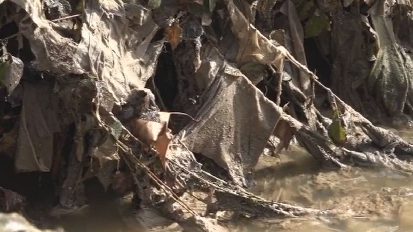20 años entre aguas fecales en Villaviciosa de Odón