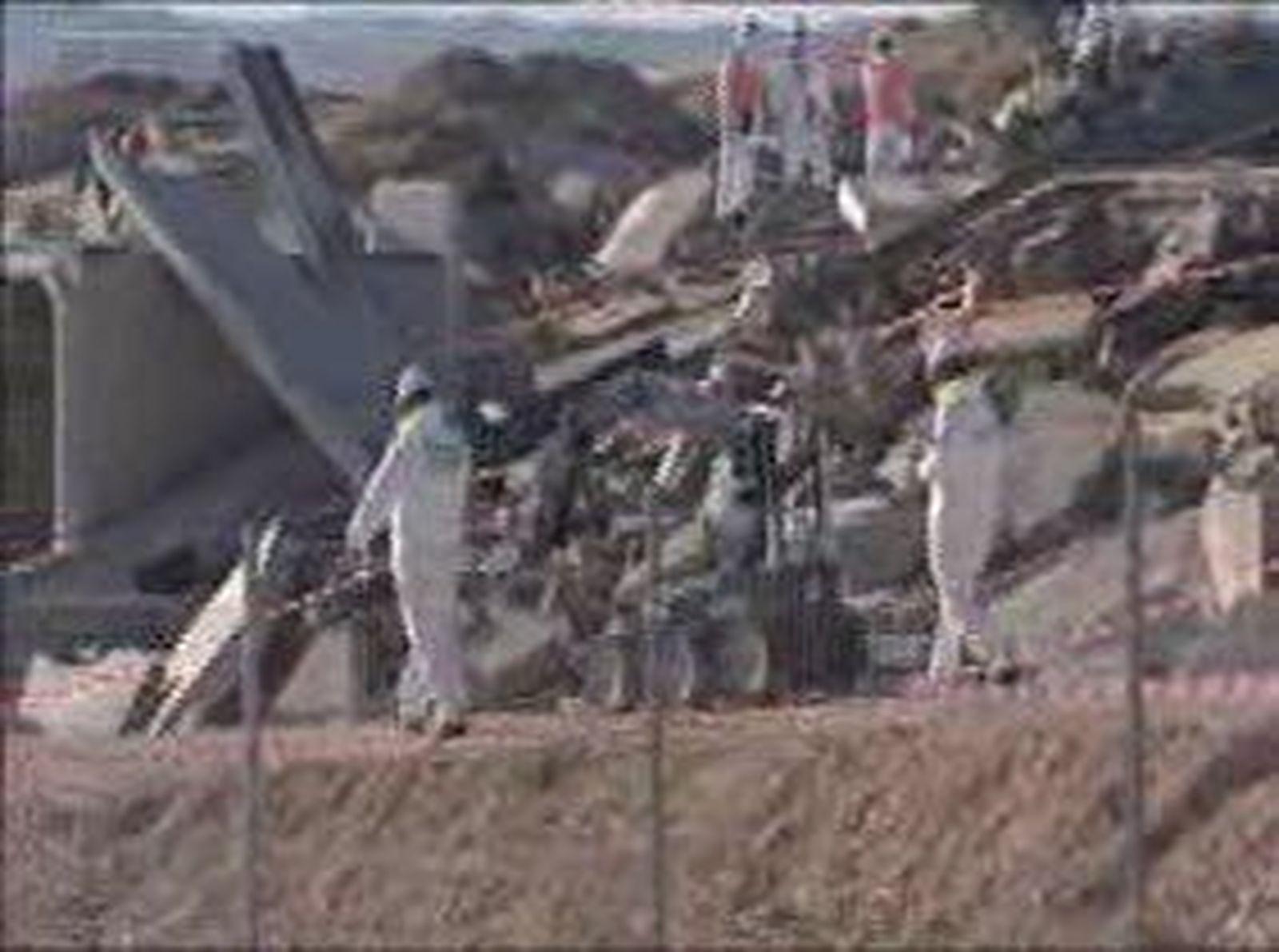Simulacro_2010122V0.wmv