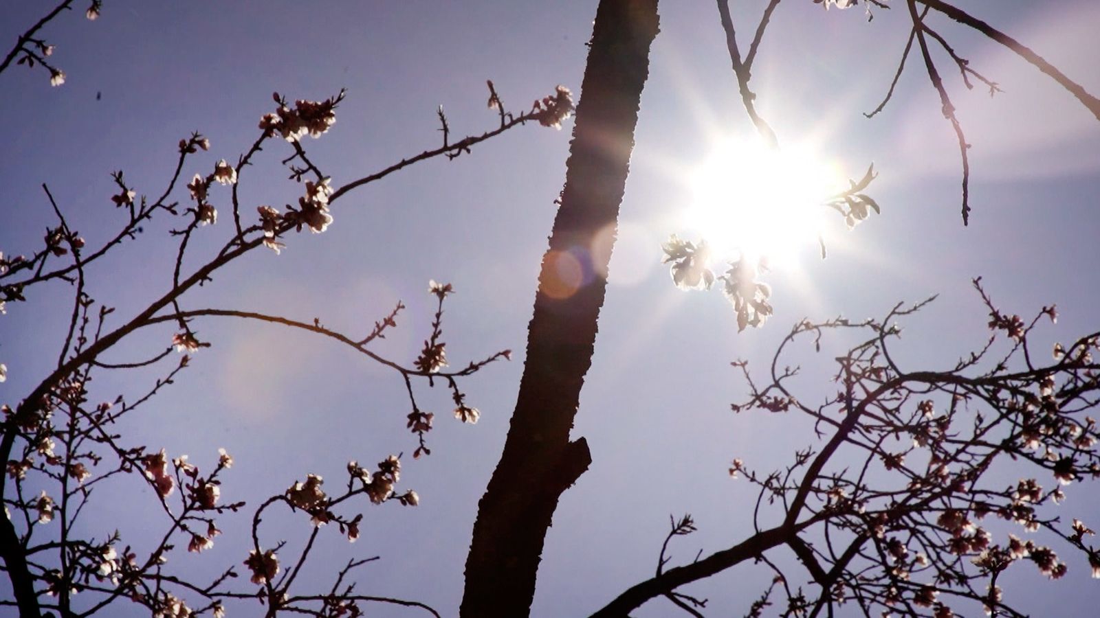 Primavera en Madrid