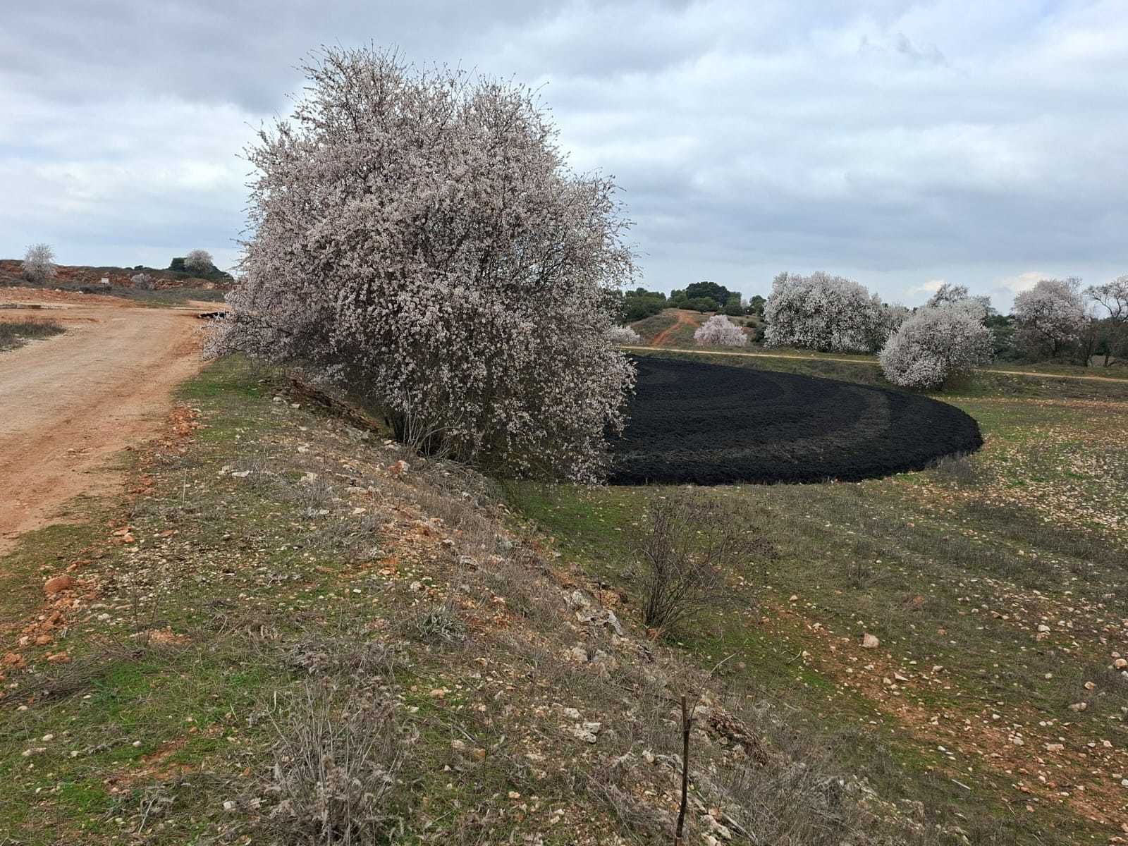 Vertido de lodos en un entorno natural de Campo Real