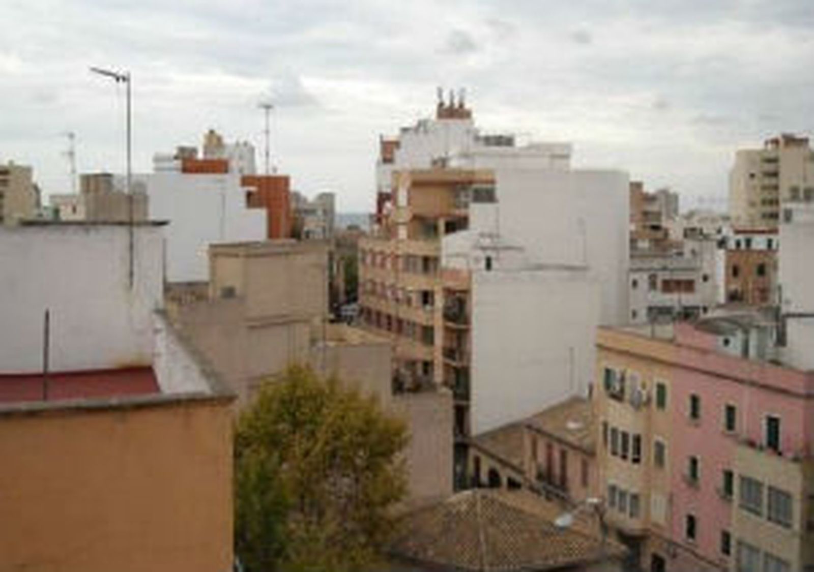 Suceso en Palma