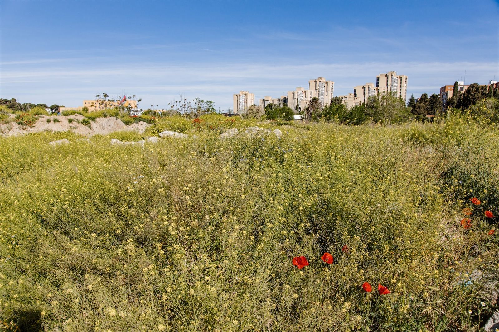 Terrenos de la antigua cárcel de Carabanchel