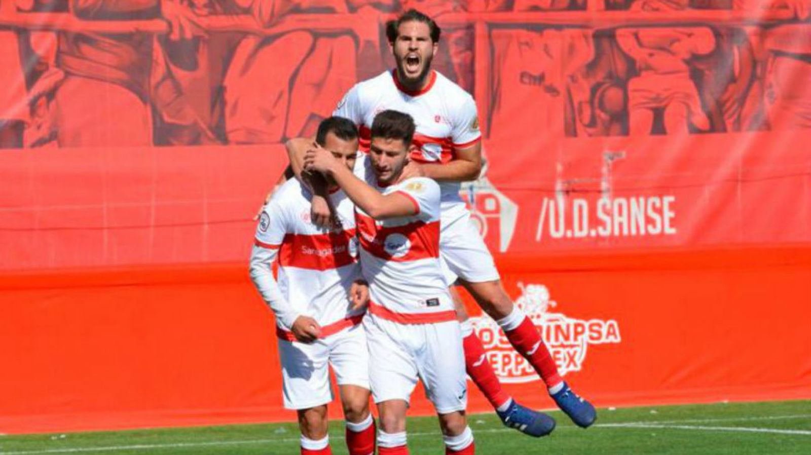 UD Sanse