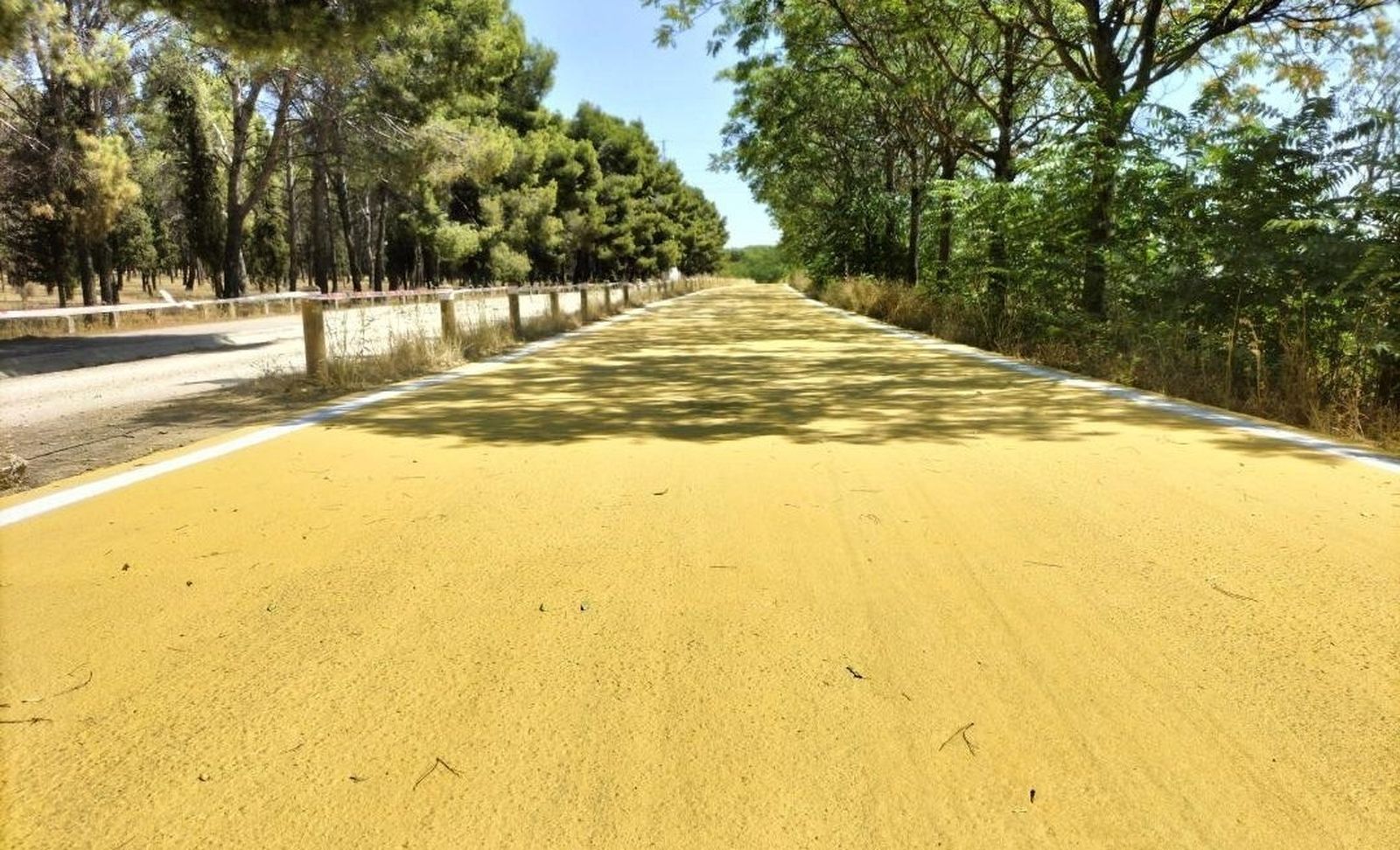 Carretera de Perales del Río al casco urbano de Getafe