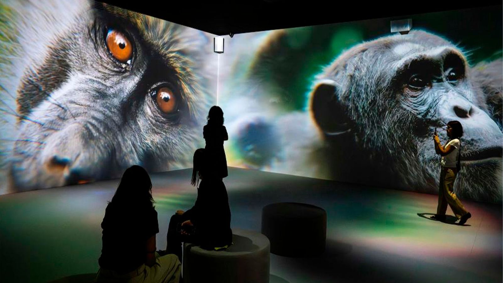 'Somos naturaleza', una exposición inmersiva en CaixaForum