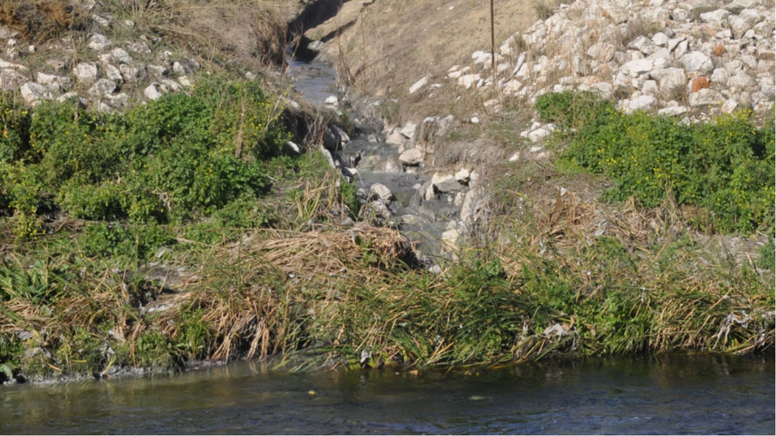 Río Manzanares