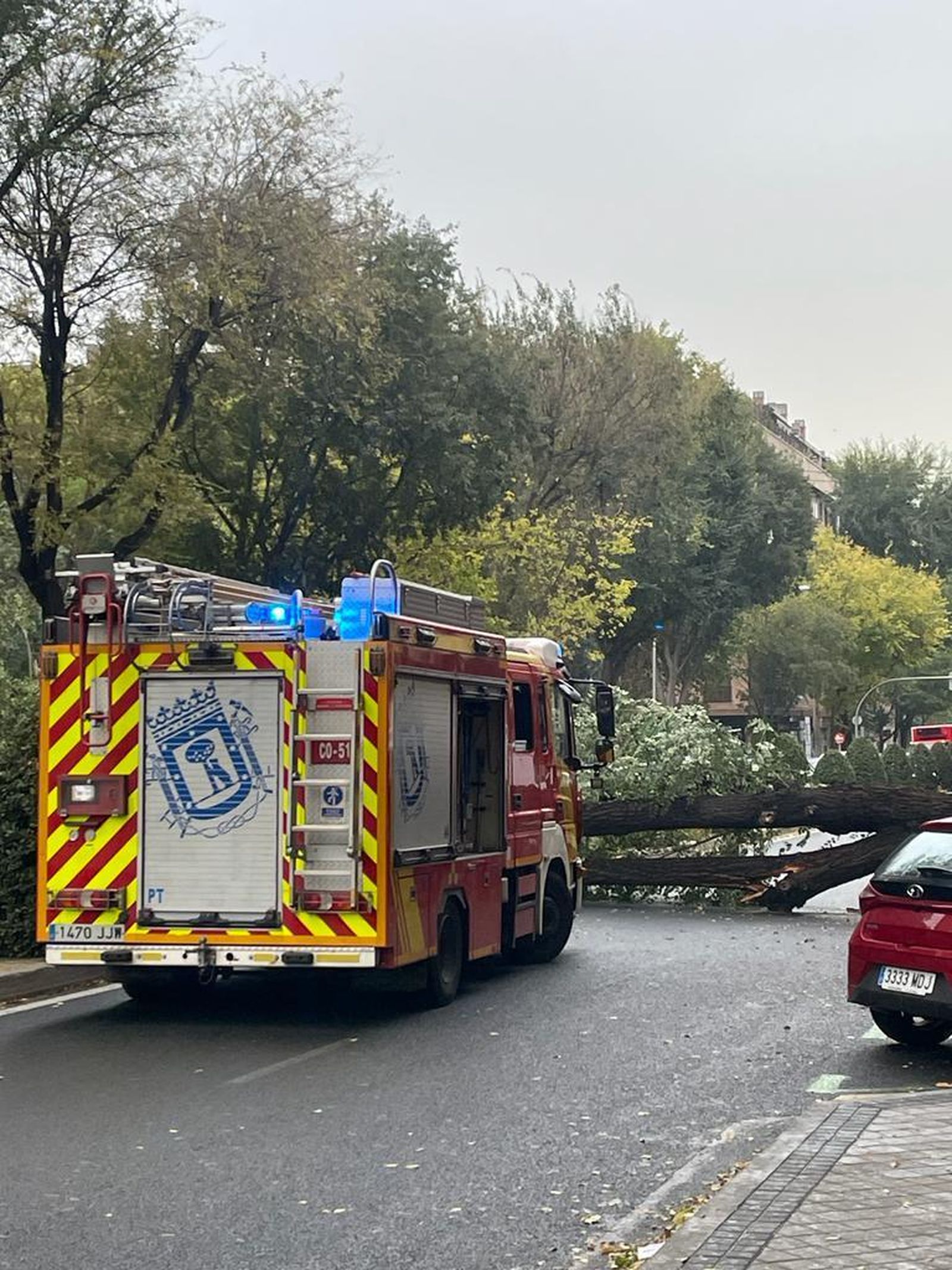 Caída de un árbol por el fuerte viento en Madrid
