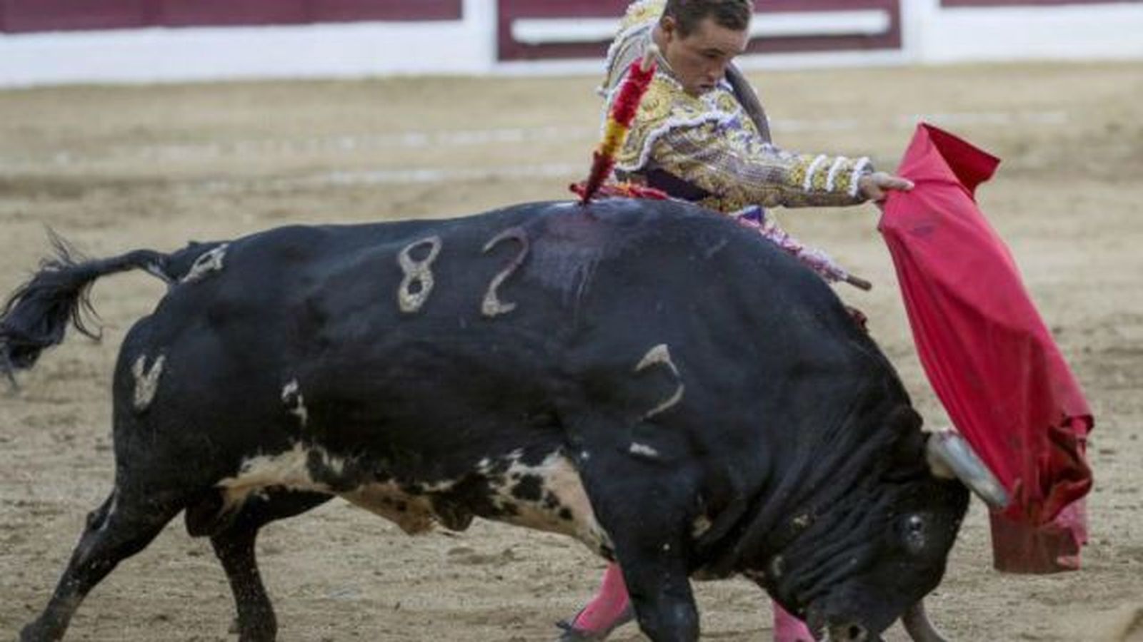 Puerta grande para Juan Bautista en San Martín de Valdeiglesias (Madrid)