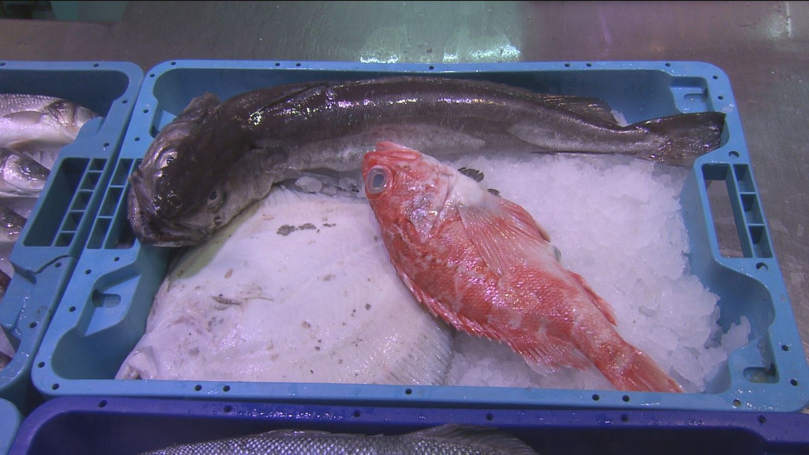 Las catas de pescado llegan a las pescaderías de Madrid