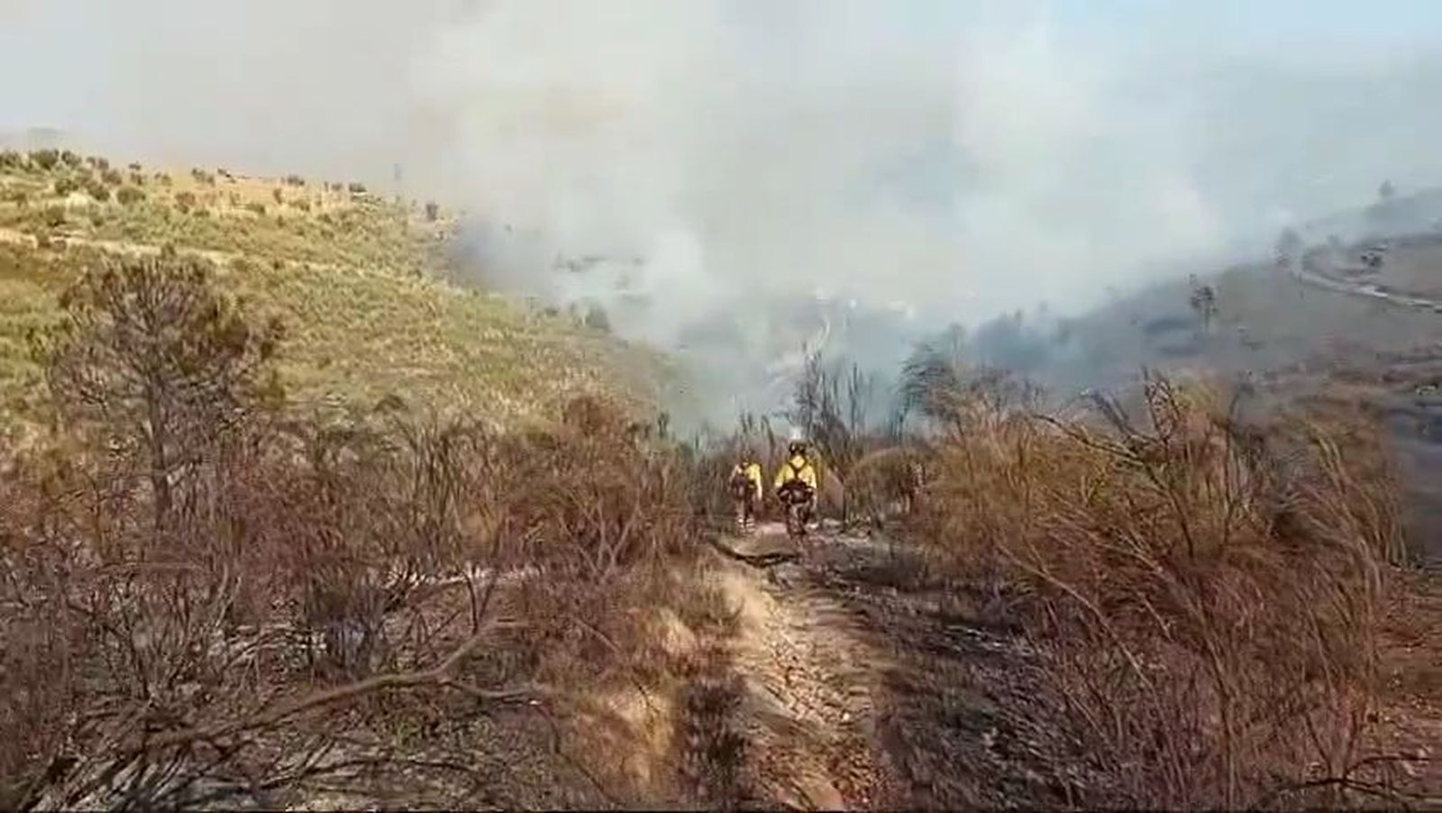 Activado el plan de emergencias por un incendio en Víznar, Granada