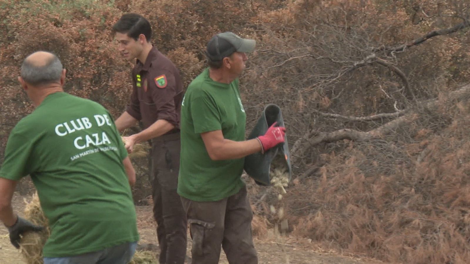 Madrid reparte miles de kilos de comida entre la fauna silvestre afectada en los incendios de Sierra Oeste