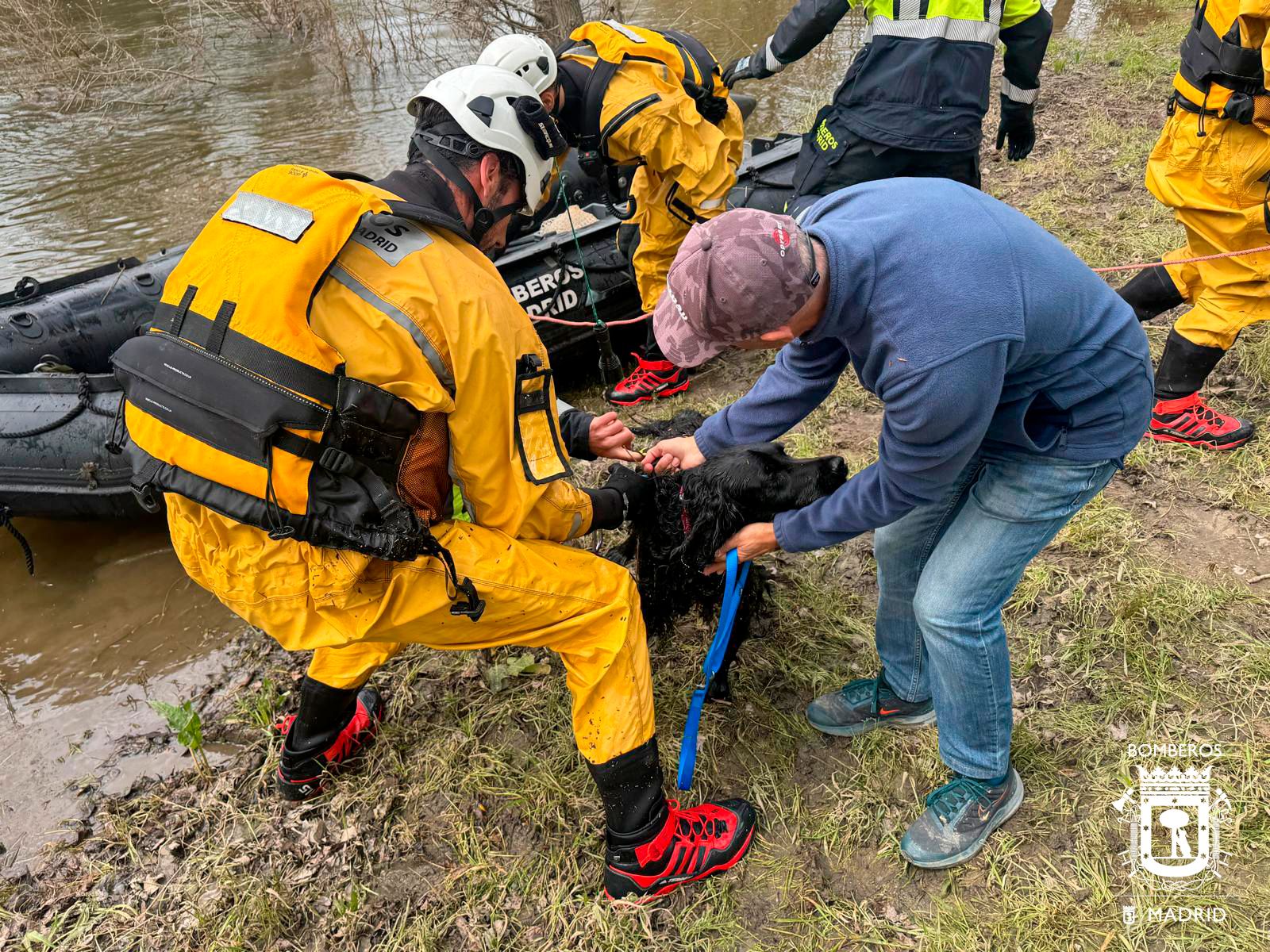 Bomberos entregan a 'Nero' a su dueño tras sacarlo del cauce