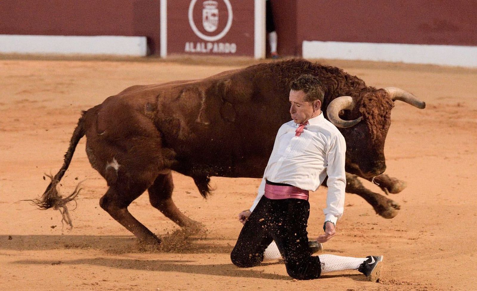 La final del Trofeo Esteban Ferre, en directo este sábado en Telamadrid