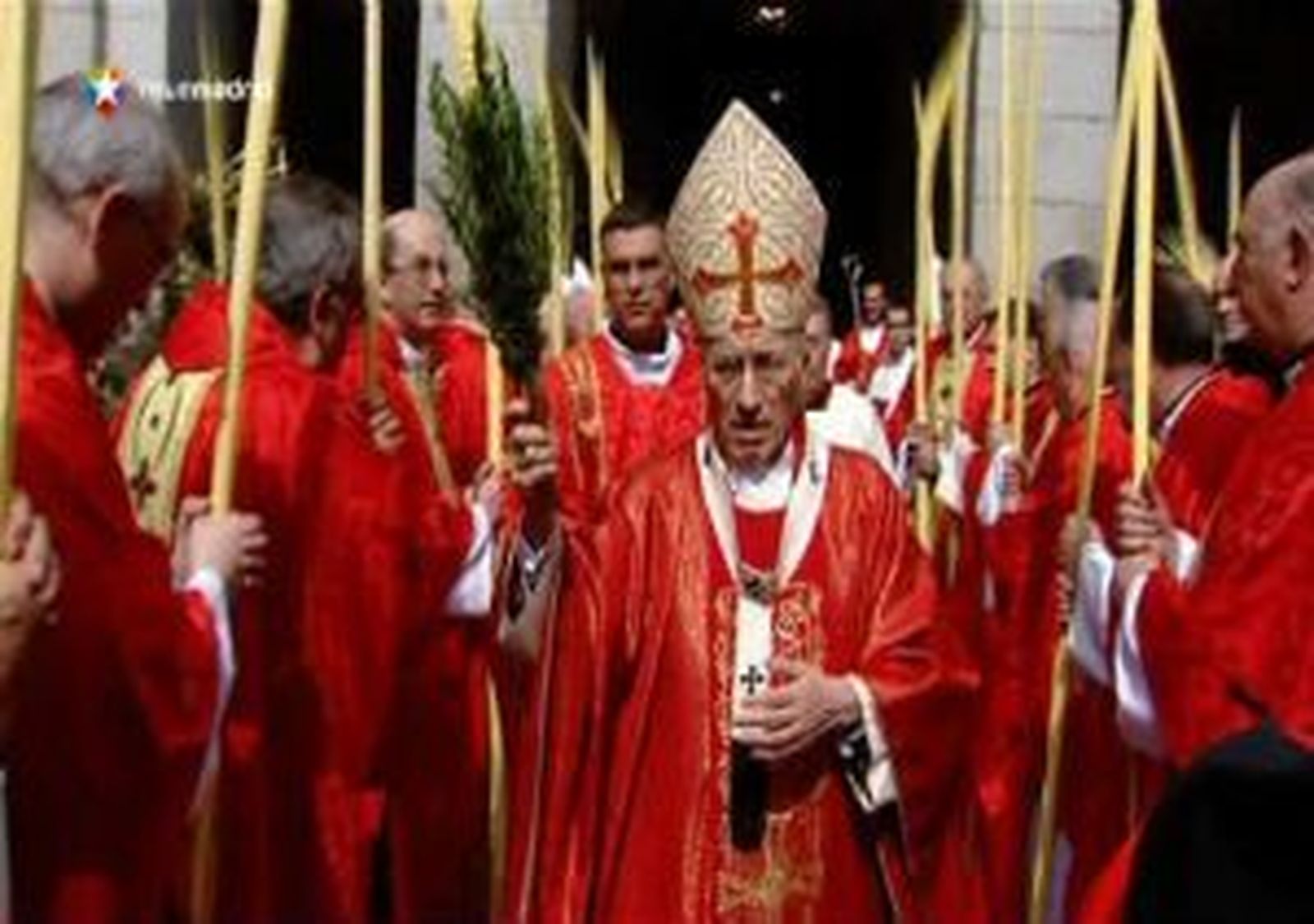 Comienza la Semana Santa con la bendición y procesión de los ramos