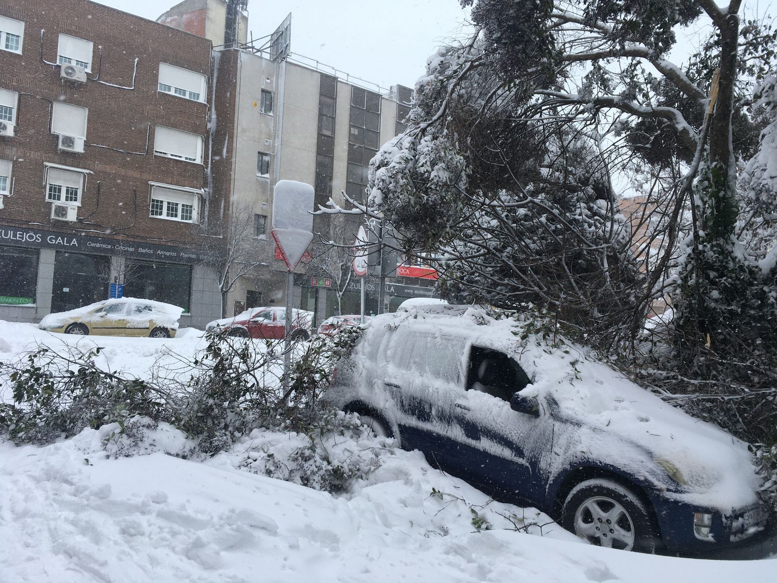 Filomena deja una nevada histórica en Madrid