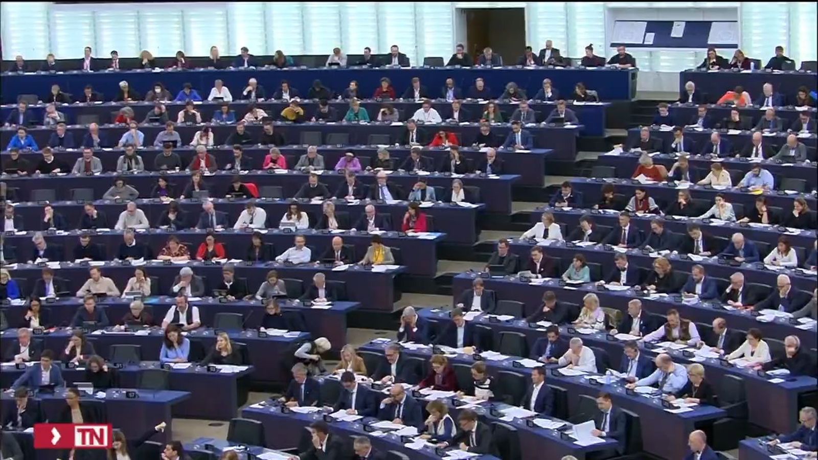 La amnistía en la Eurocámara