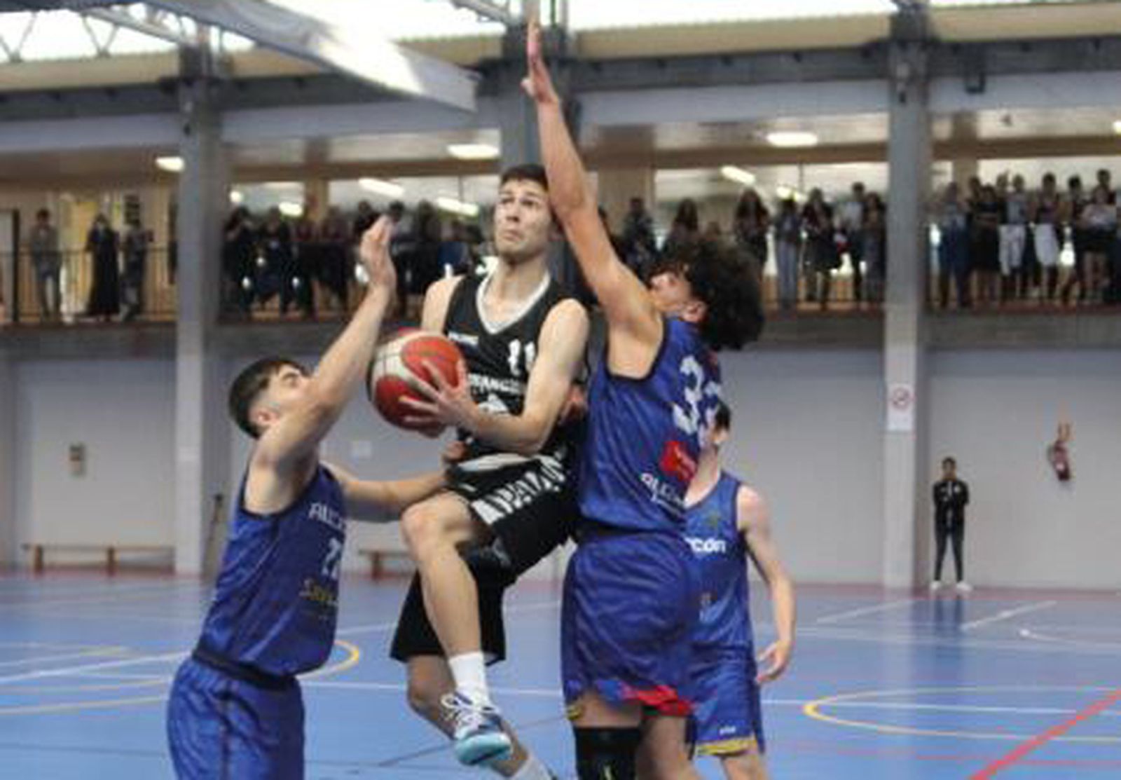 Baloncesto júnior