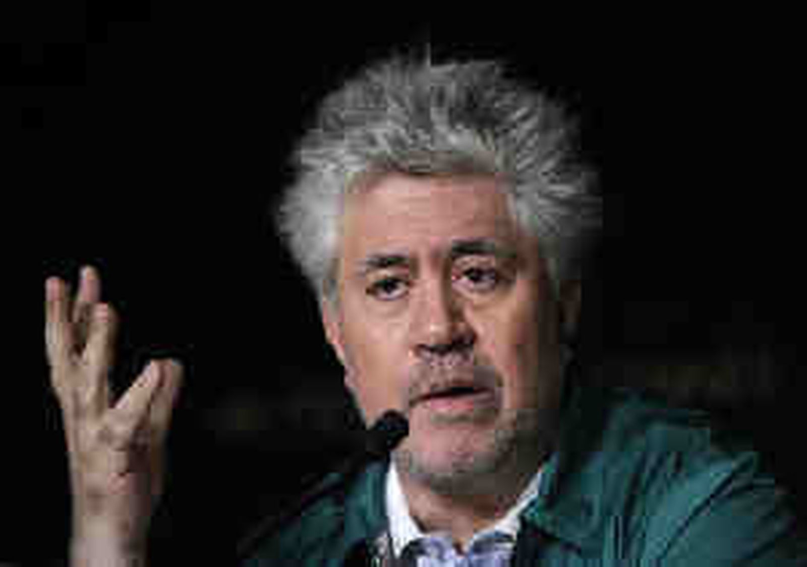 almodovar.jpg