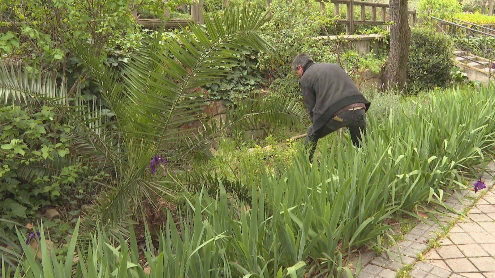 Jardines vecinales en Fuencarral, un vergel por iniciativa particular