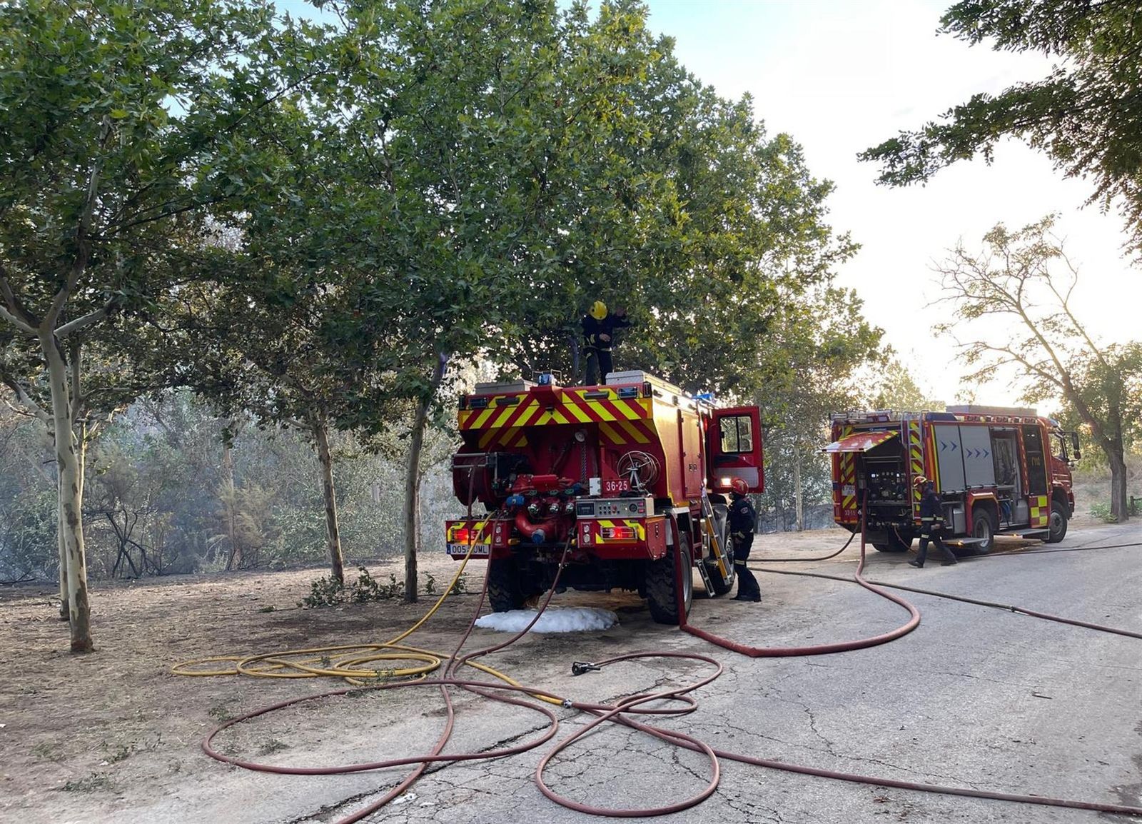 Bomberos trabajando en el incendio forestal de Batres