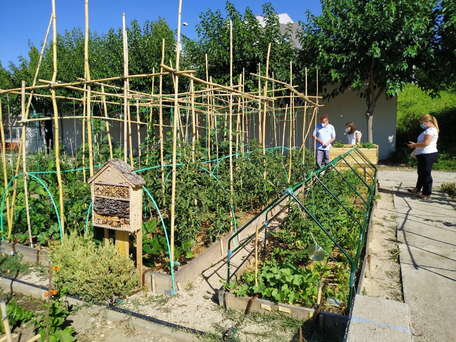 Huerto urbano en San Sebastián de los Reyes