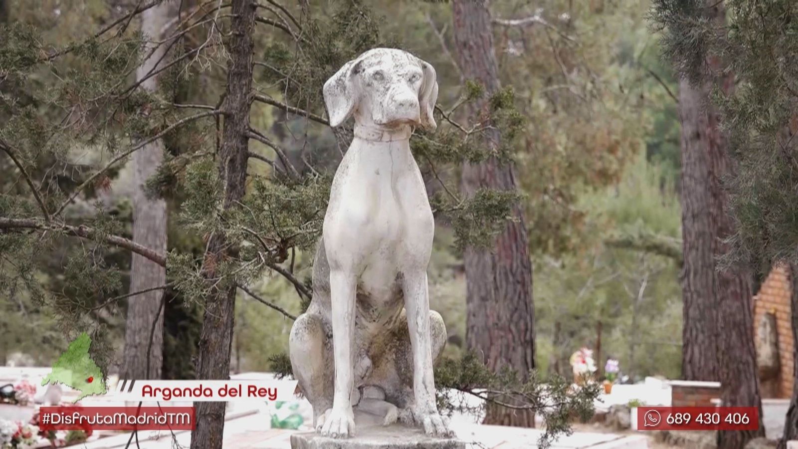 Visitamos el único cementerio de animales de la Comunidad de Madrid
