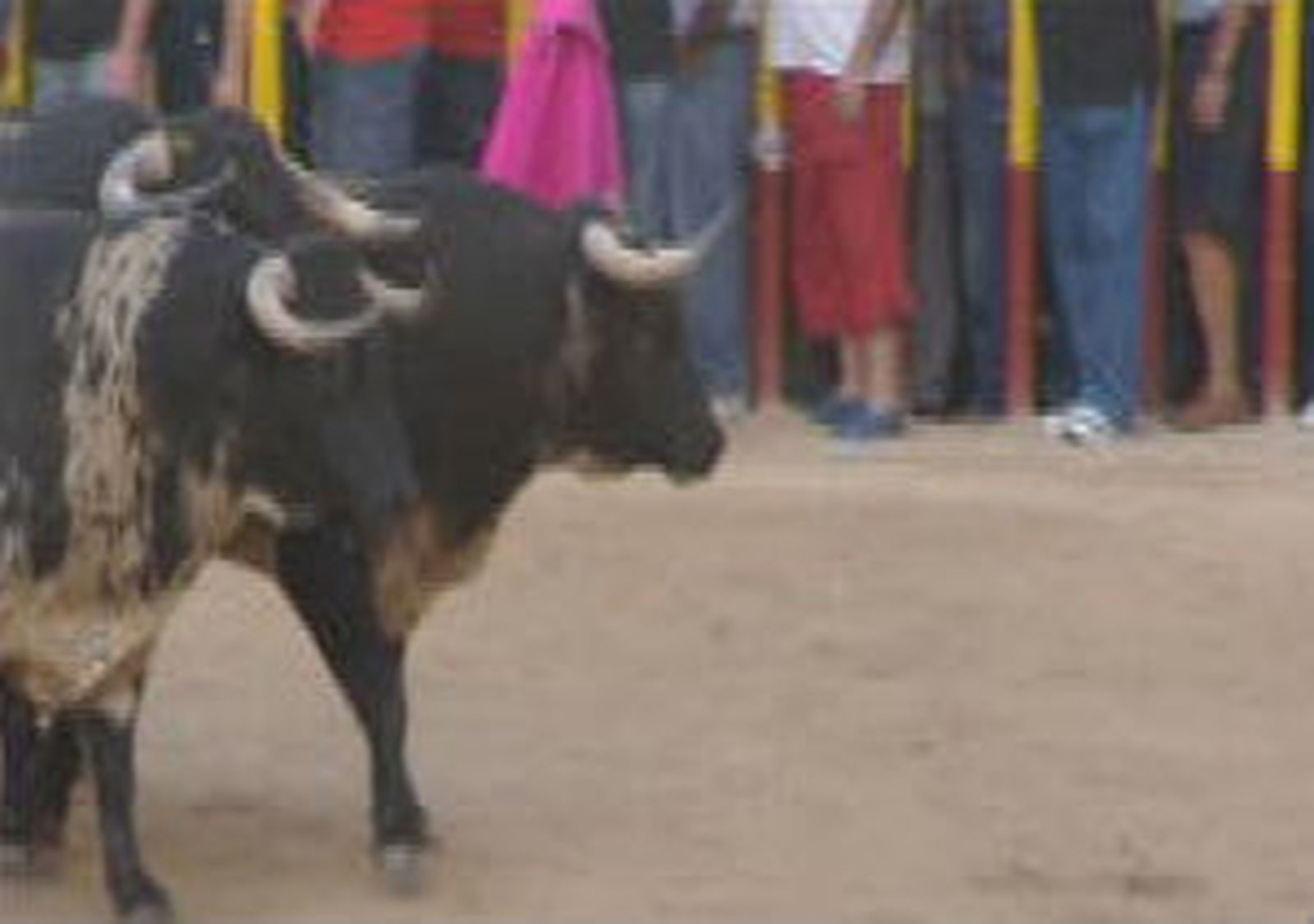 Dos heridos graves en el tercer encierro de Arganda del Rey