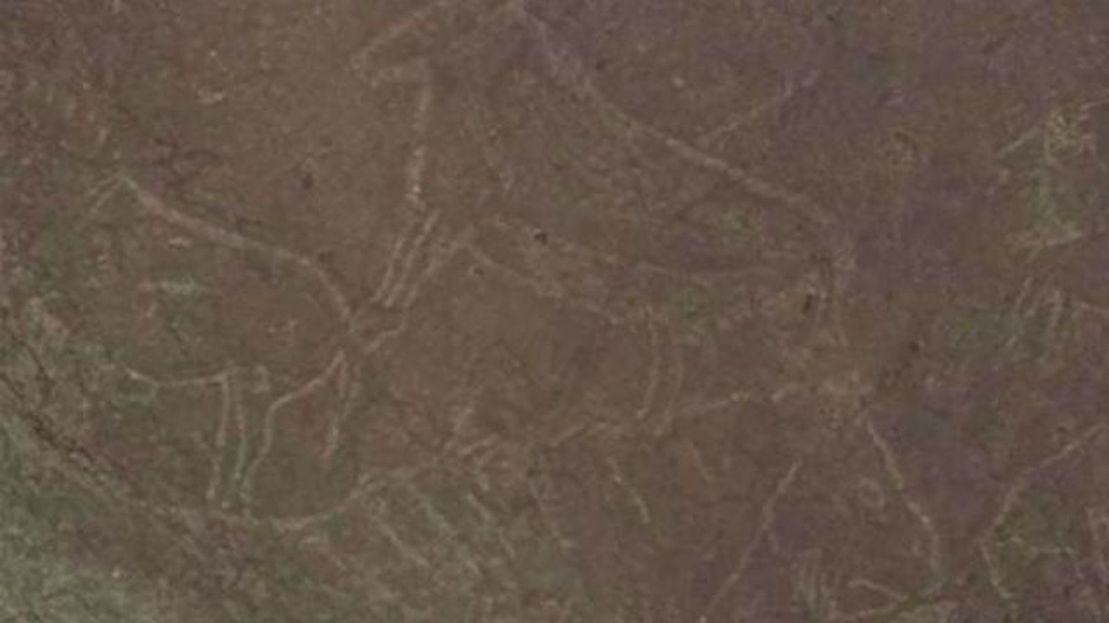 Hallan en Bizkaia los grabados paleolíticos "más impactantes" de la Península