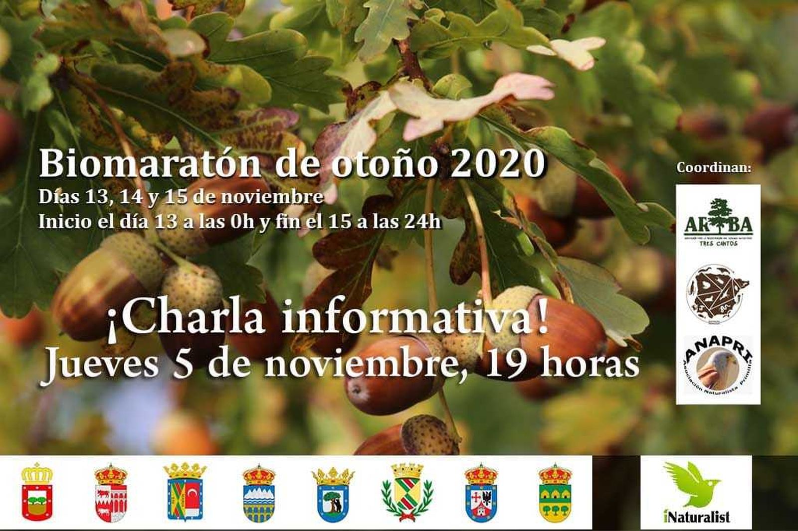 La zona norte convoca un 'biomaratón' para hacer un registro medioambiental