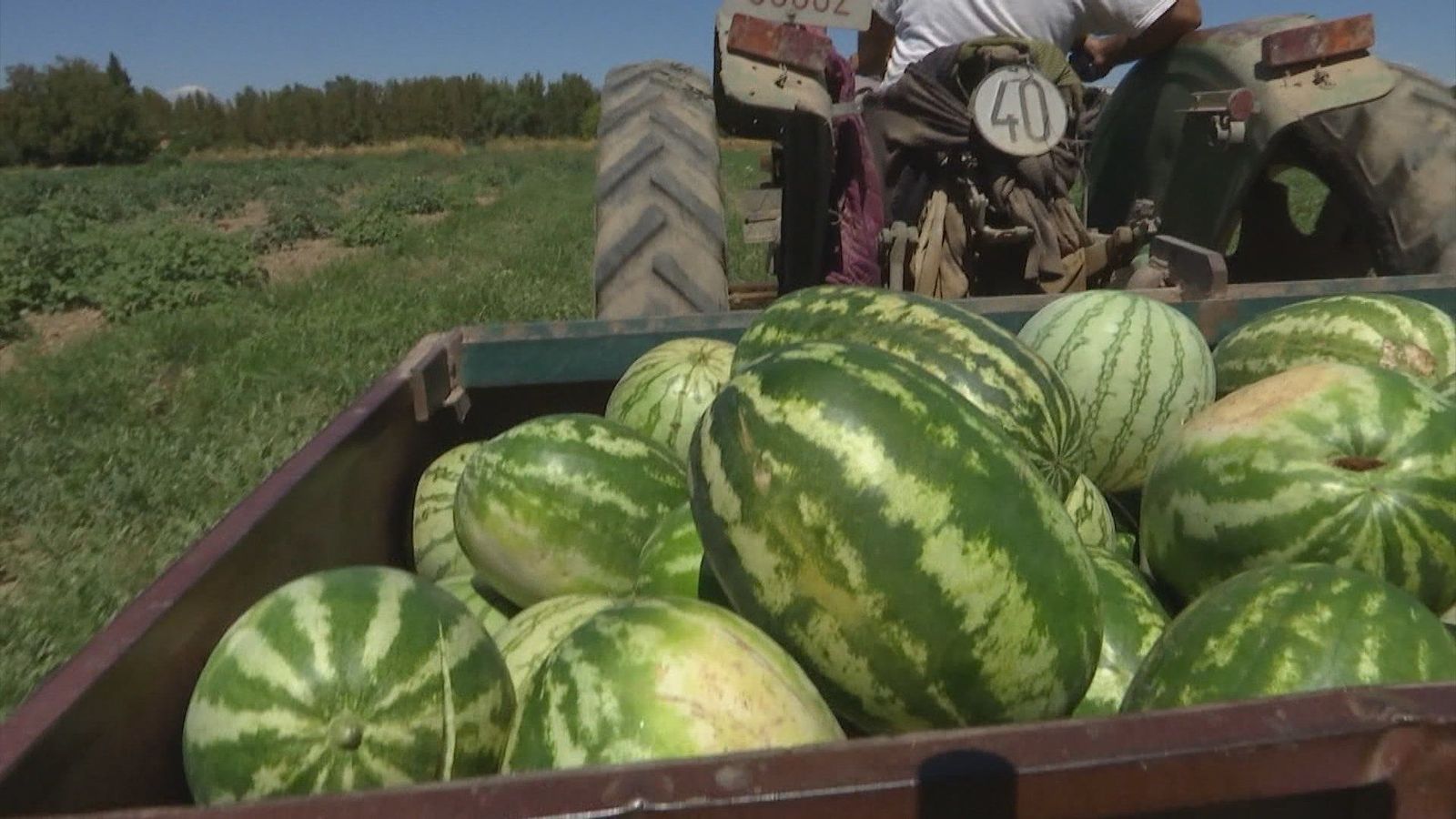 Los agricultores denuncian competencia desleal de otros países y piden "controles para todos"