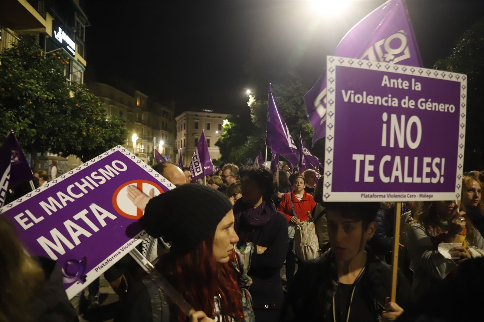 Imagen de una de las manifestaciones de 2024 con motivo del 25N