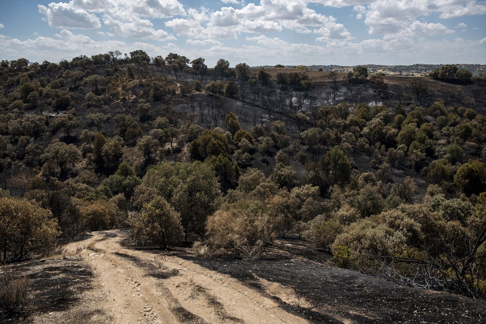 Vista tras el paso del fuego en Aldea del Fresno,