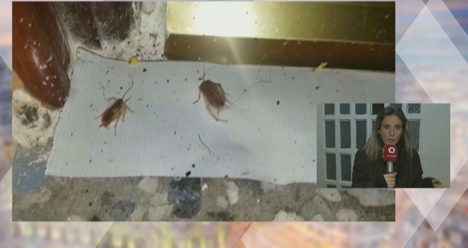 Invasión de cucarachas en un bloque de Parla