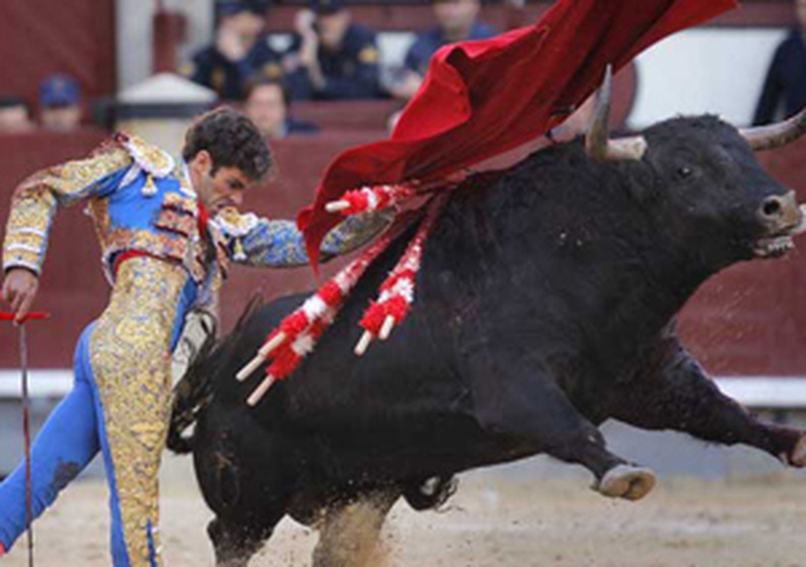 jose_tomas_toro