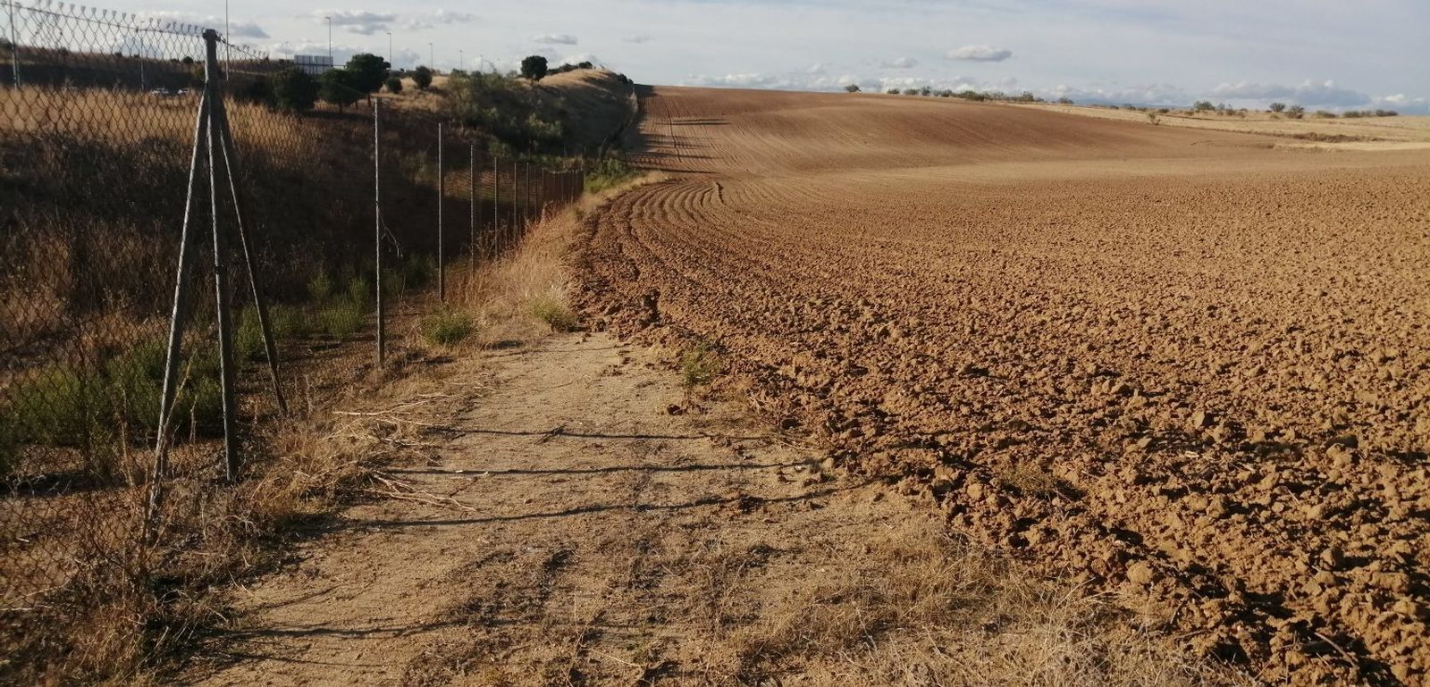 Camino de servicio de la M-50 convertido en terreno agrícola