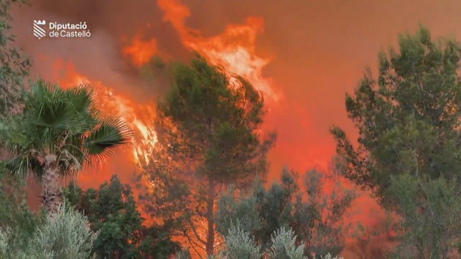 El incendio de Soneja (Castellón) quema 181 hectáreas de pinar y matorral y sigue activo