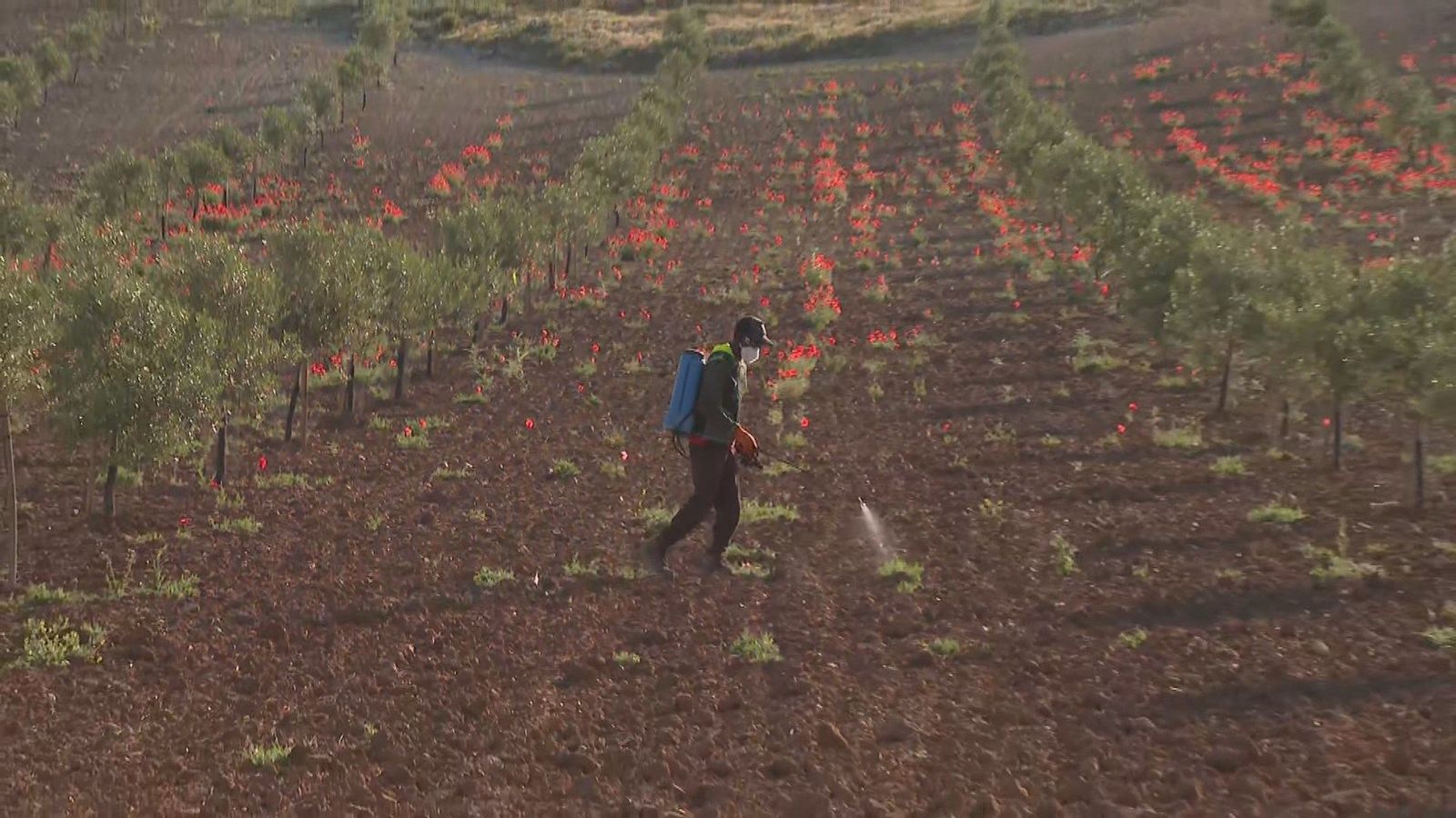 El Plan de Dinamización del Sector Primario recupera 57 nuevos agricultores jóvenes en la región