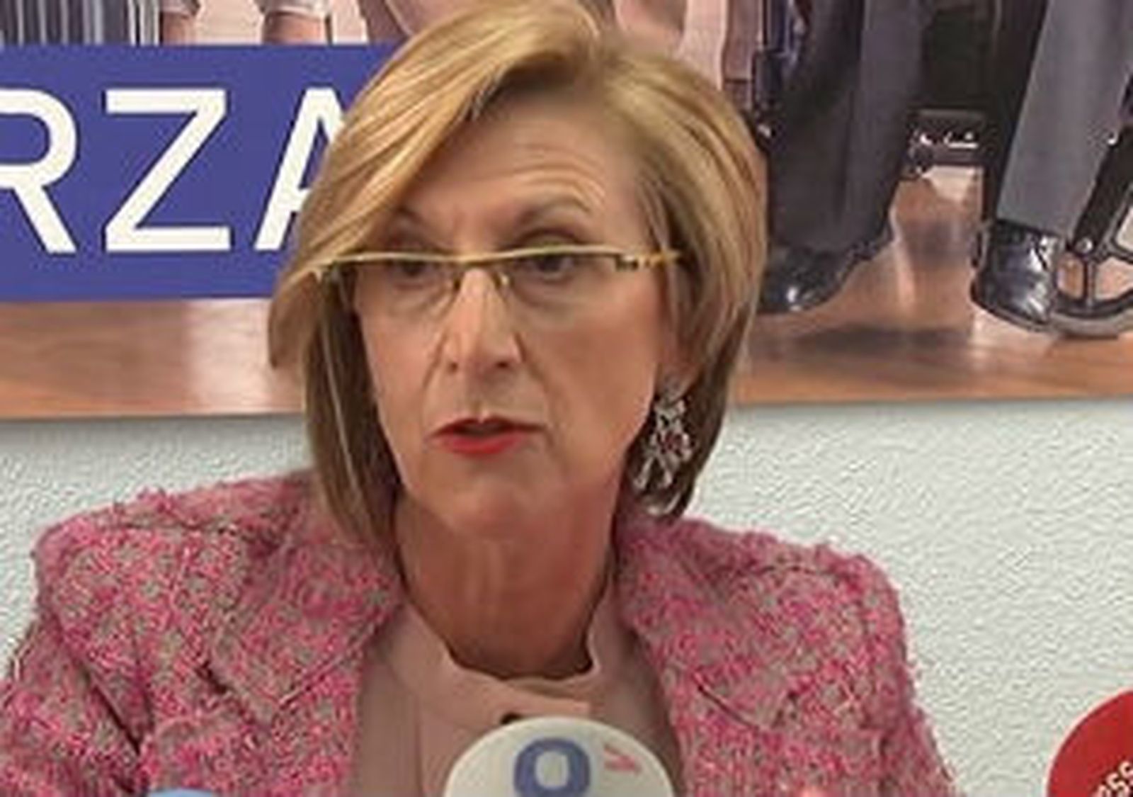 Rosa Díez, UPyD