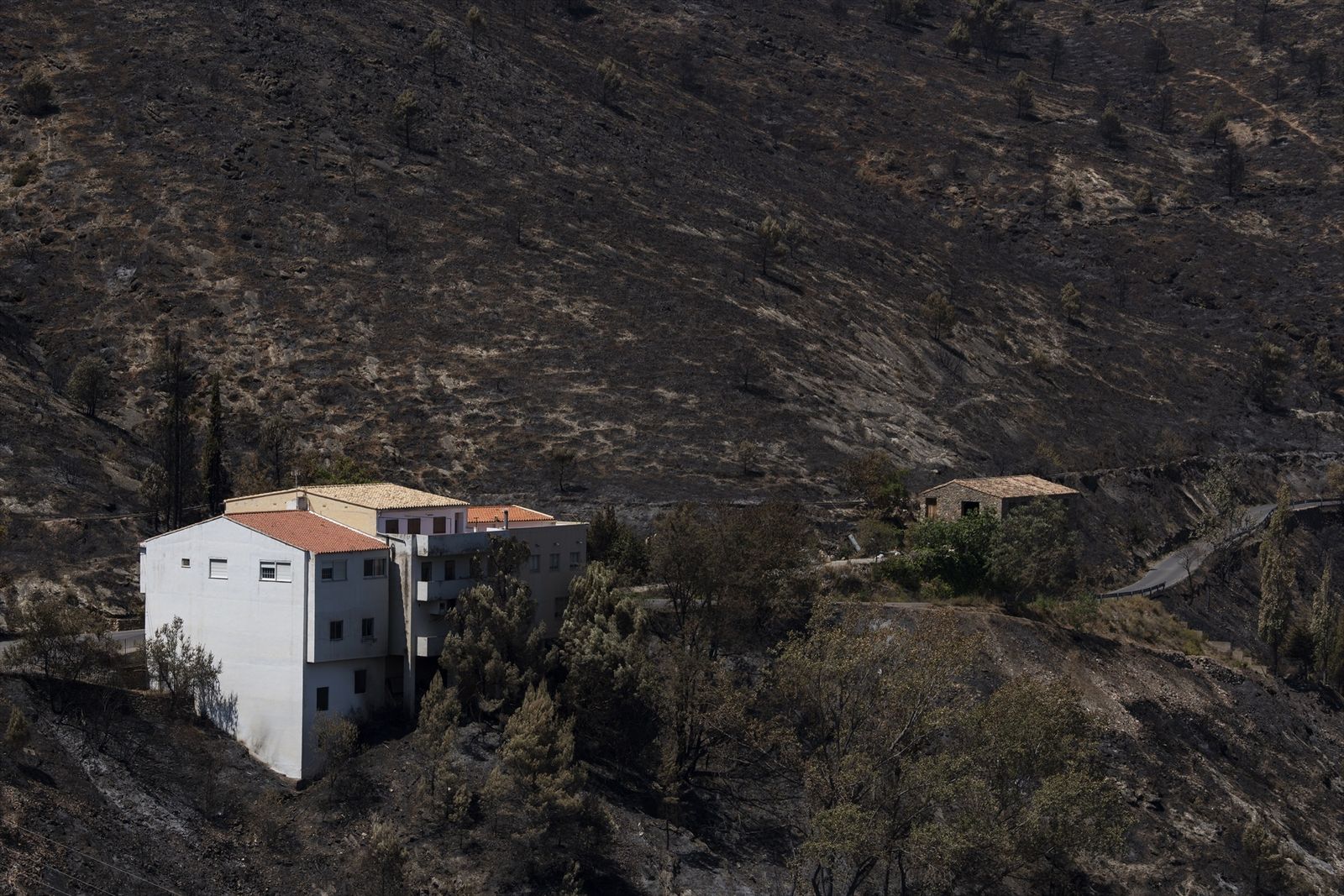 Viviendas en medio del monte calcinado por el incendio forestal en Bejís, Castellón