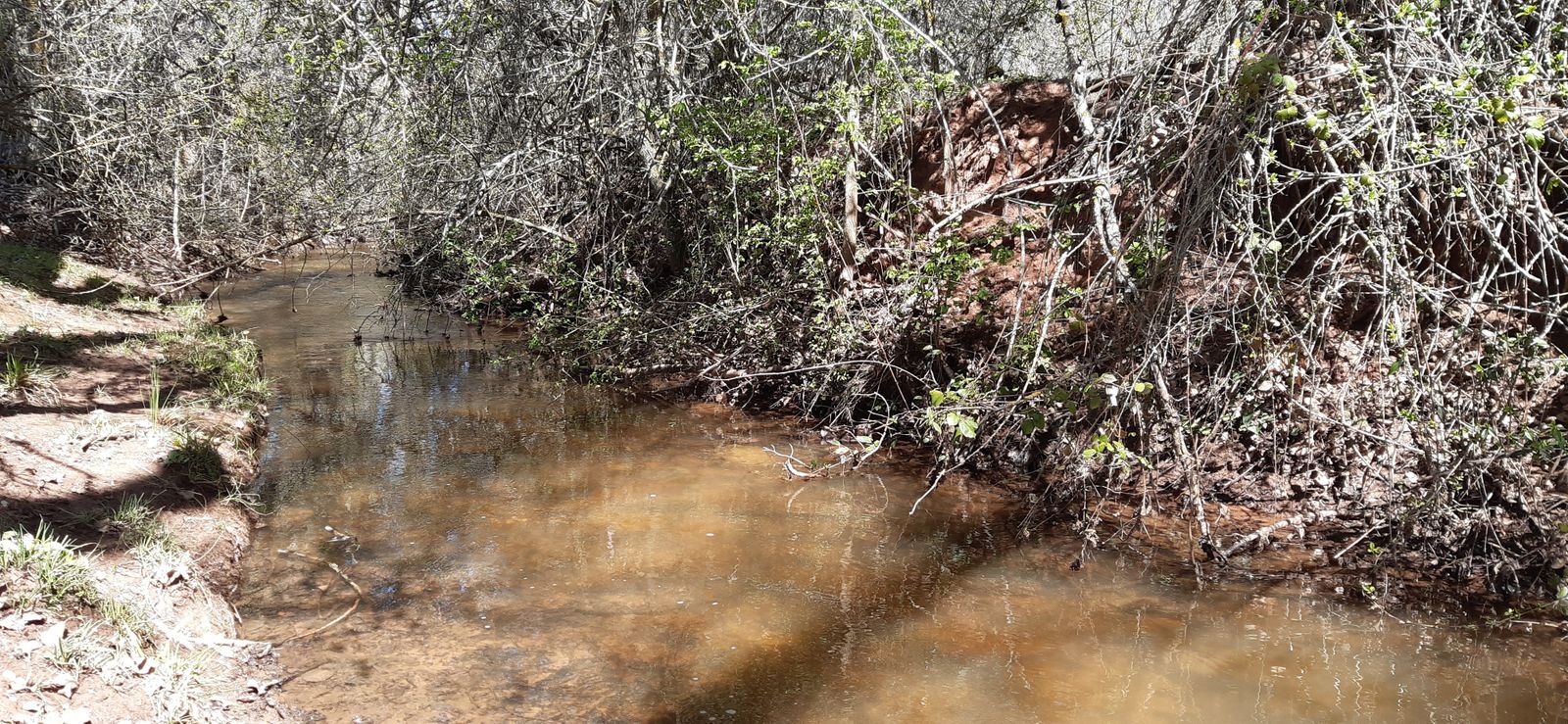 El Río Manzanares a su paso por Tiermes