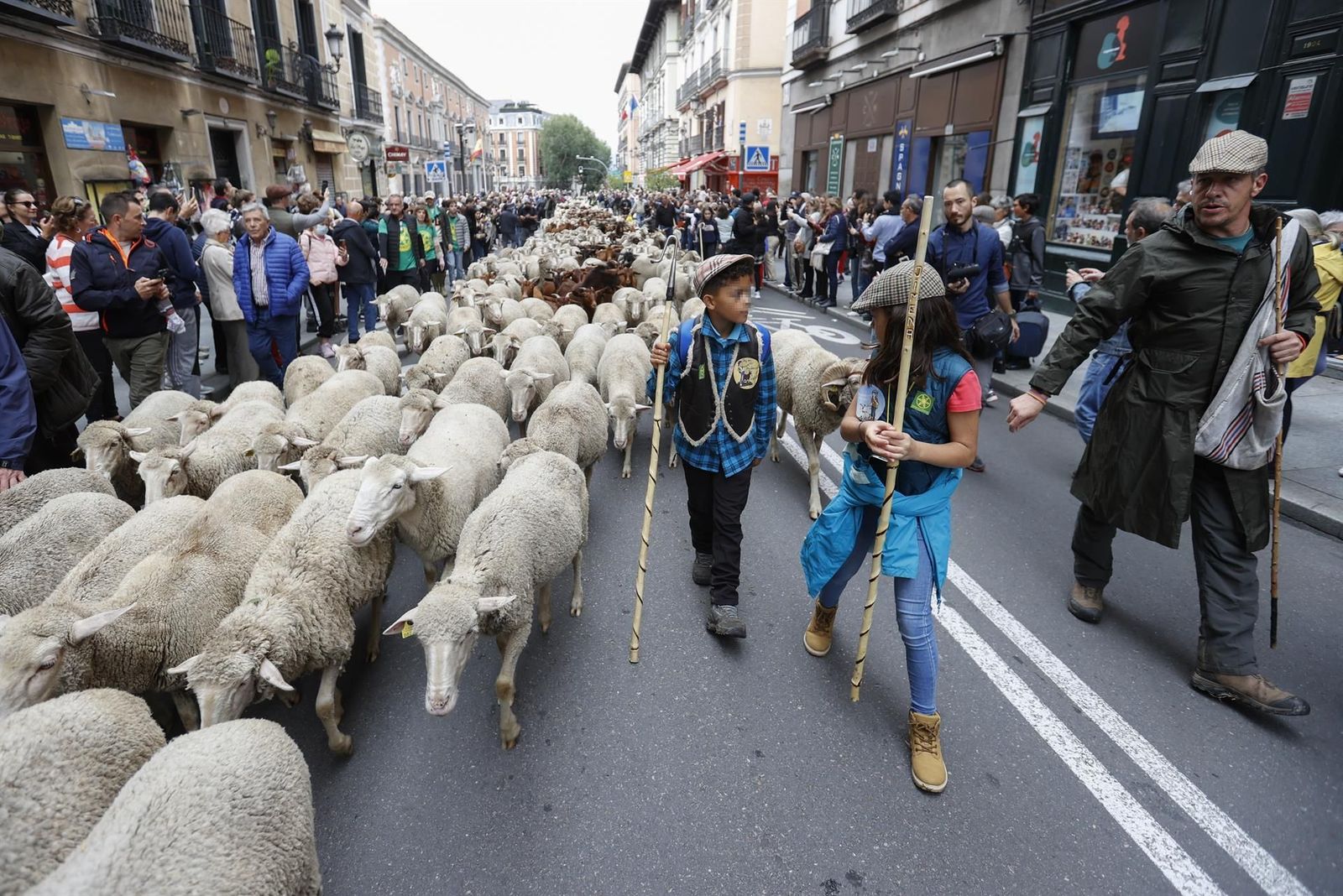 Un millar de ovejas y cabras se adueñan de las calles de Madrid