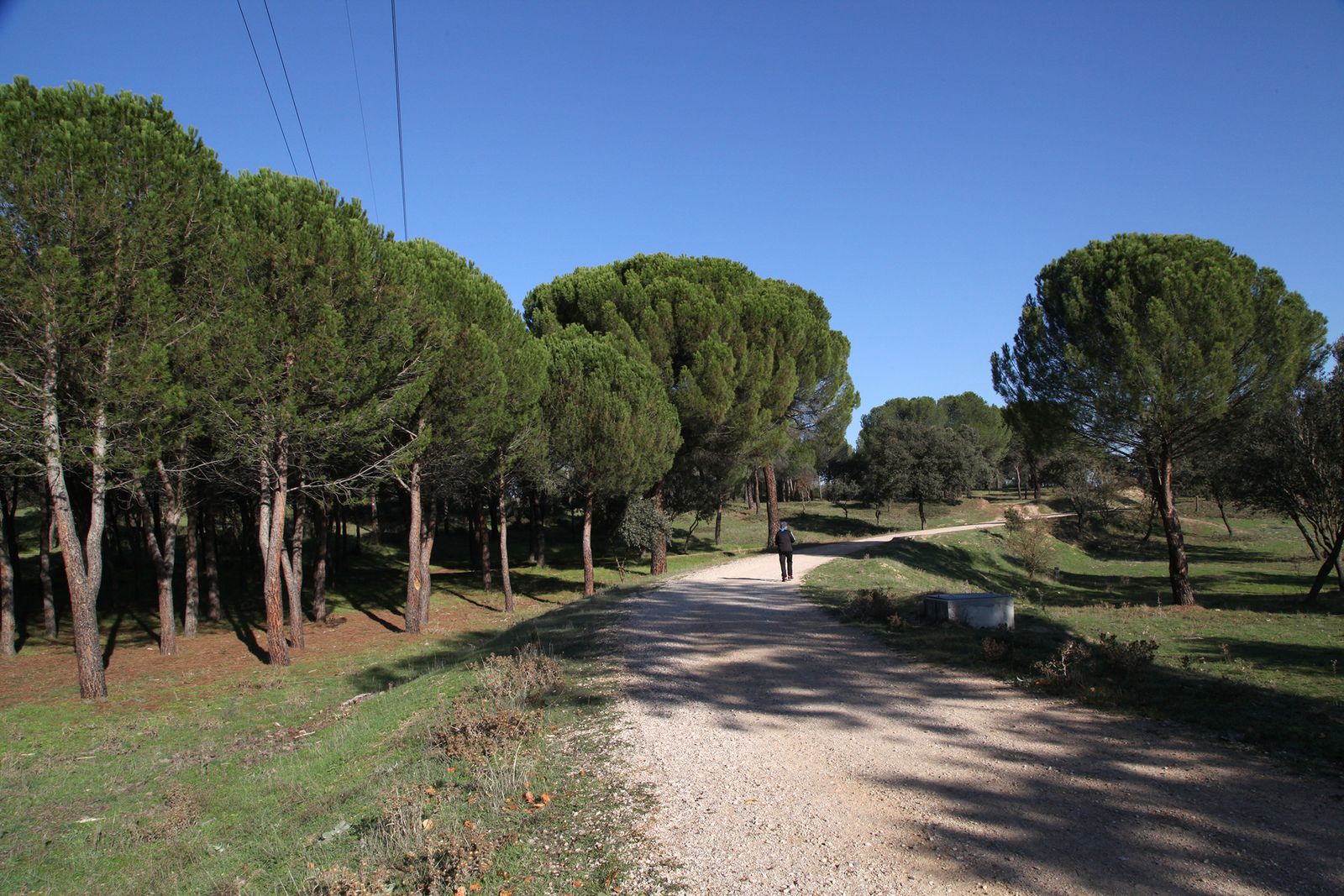 Monte de Valdelatas