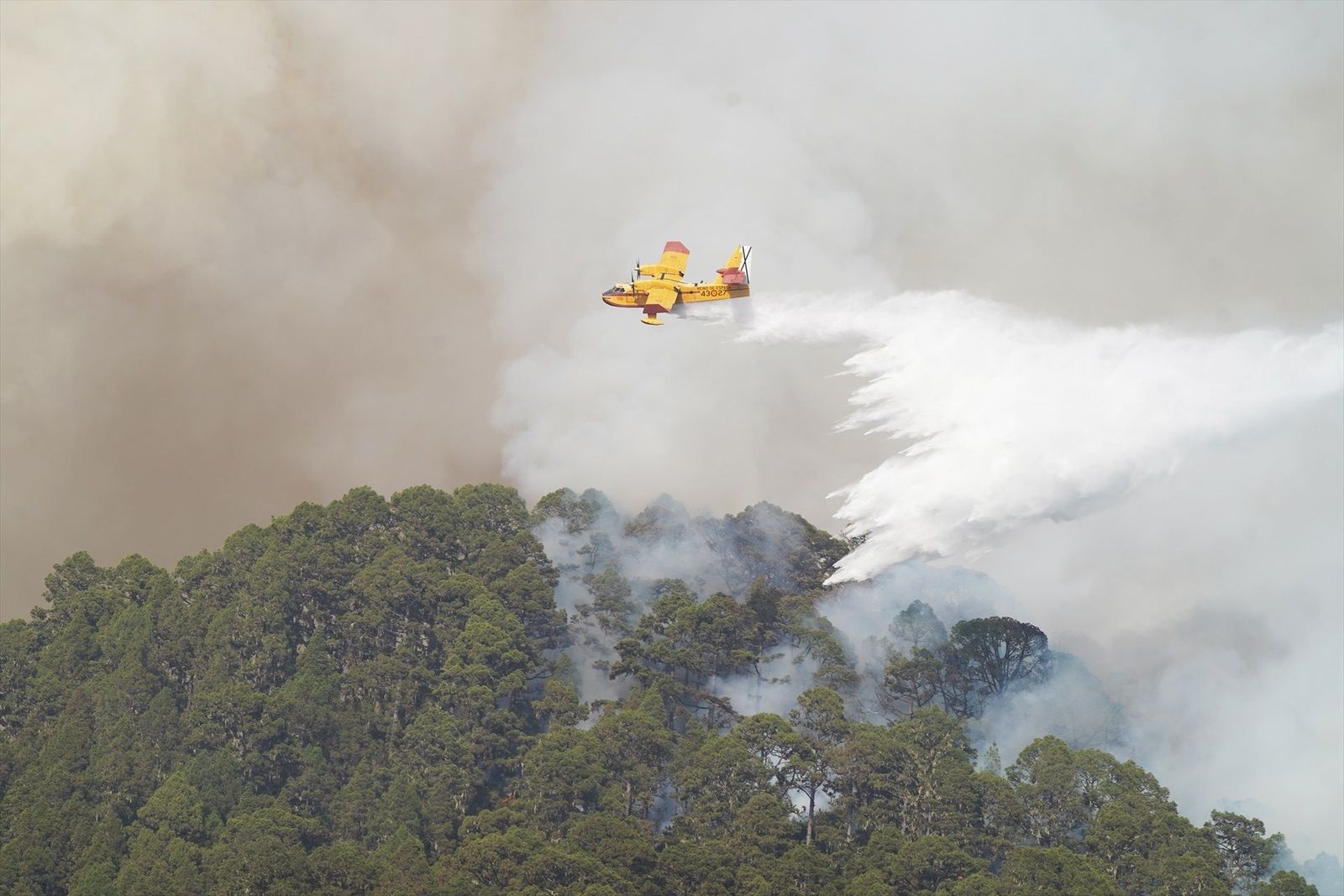 El incendio de Tenerife empieza a normalizarse, pero sigue sin control