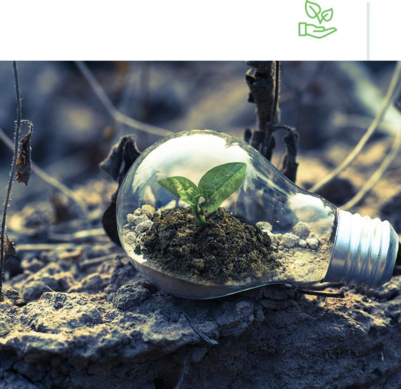 Lasgaya, la cooperativa que ayuda a otras en medioambiente, igualdad, ingeniería y gobernanza