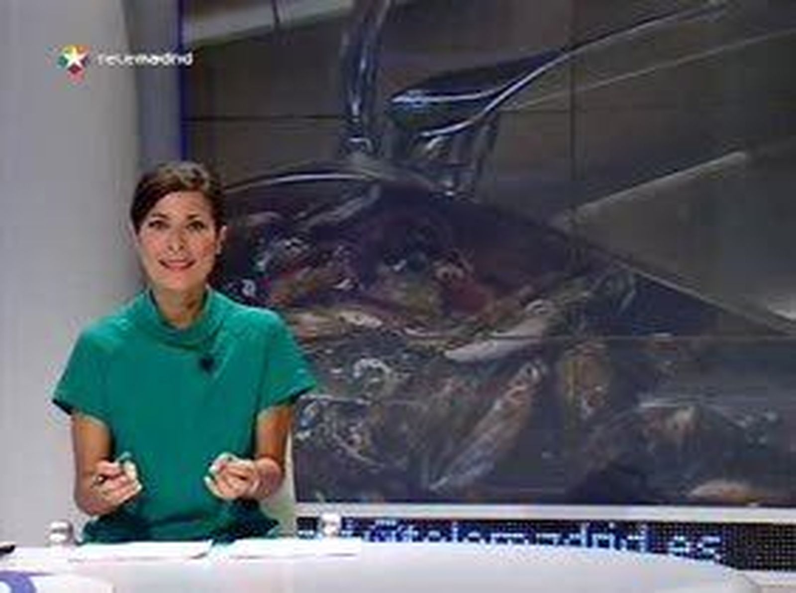 Mejillones