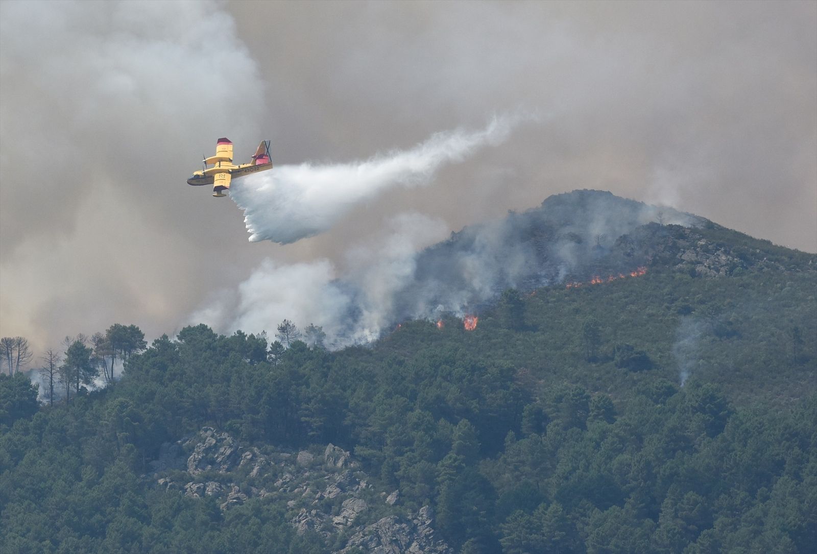 Un hidroavión arroja agua sobre un frente de fuego en Extremadura