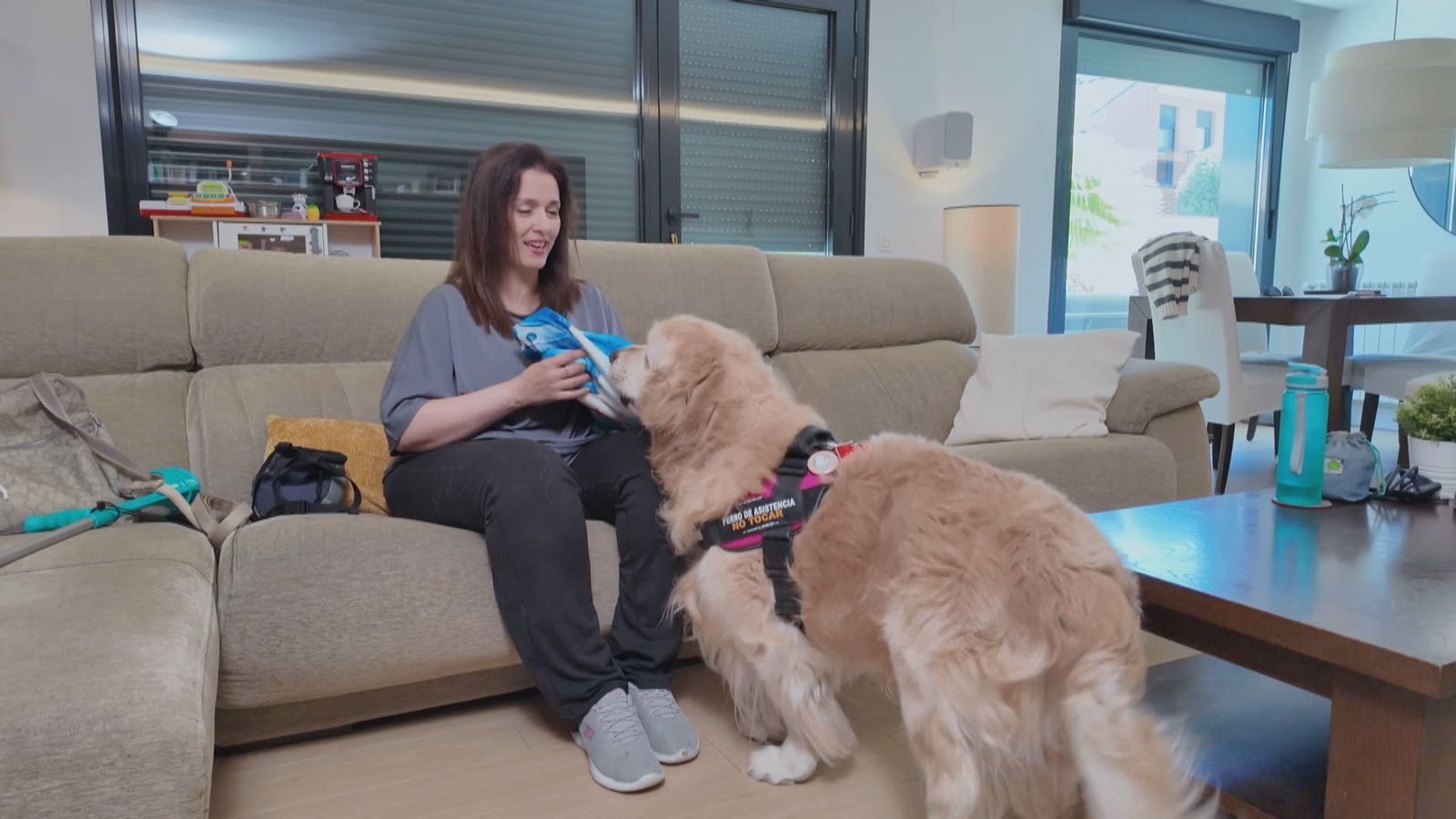 Luca: el perro de servicio