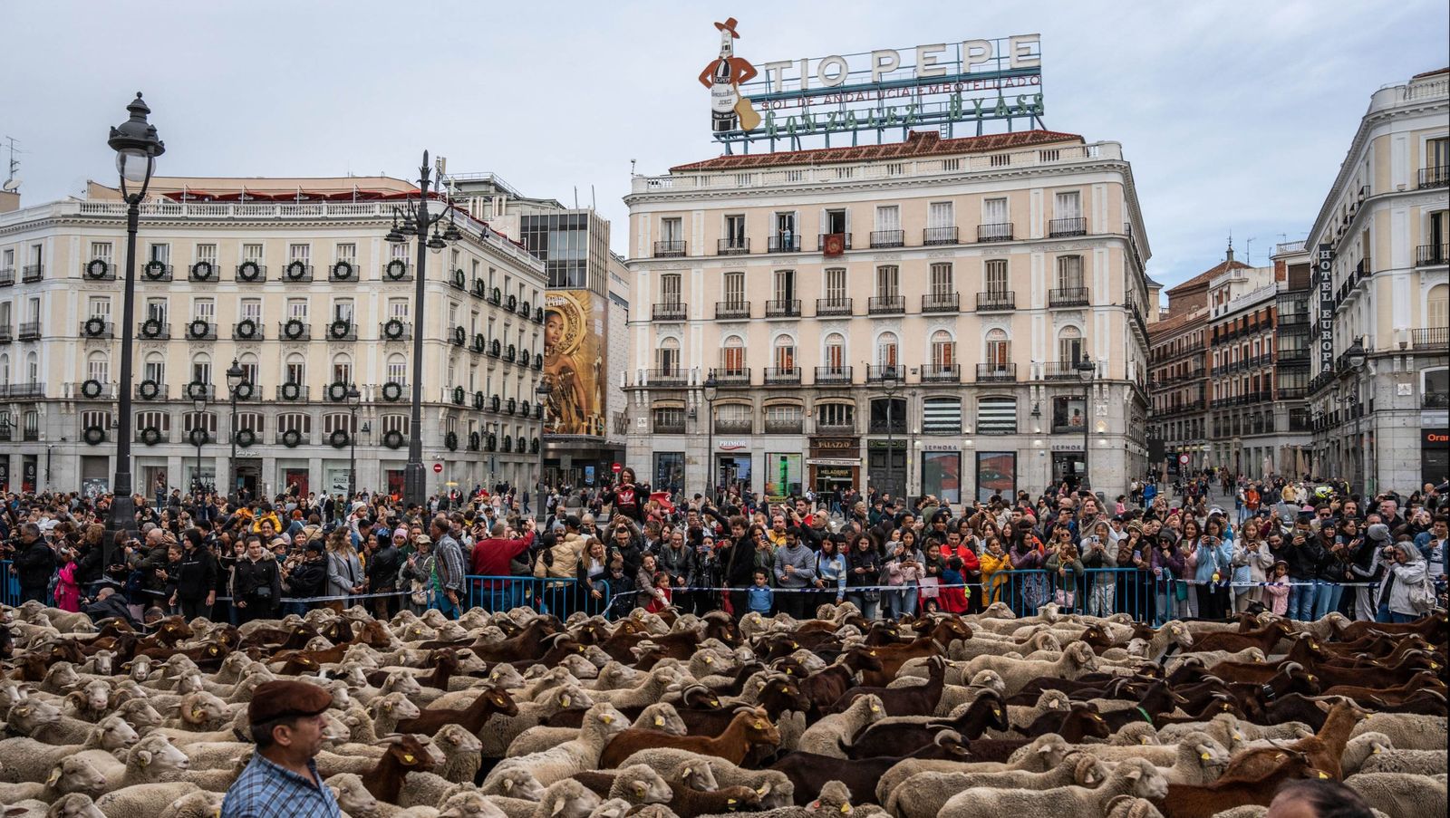 Madrid agotará la vía judicial para desalojar la acampada de Sol, que amenaza la Trashumancia y la Navidad