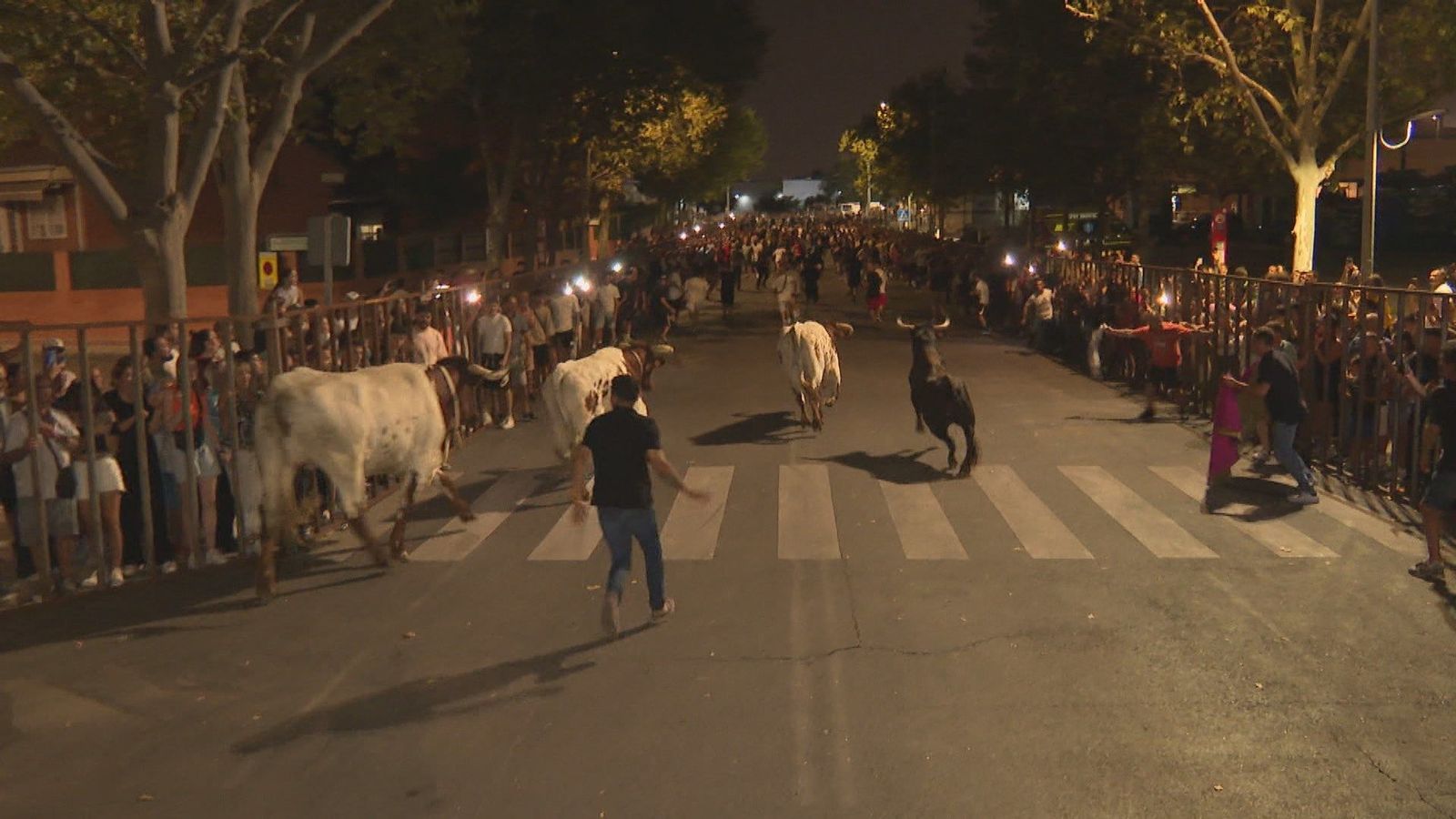 Noches de fiesta y toros en Parla